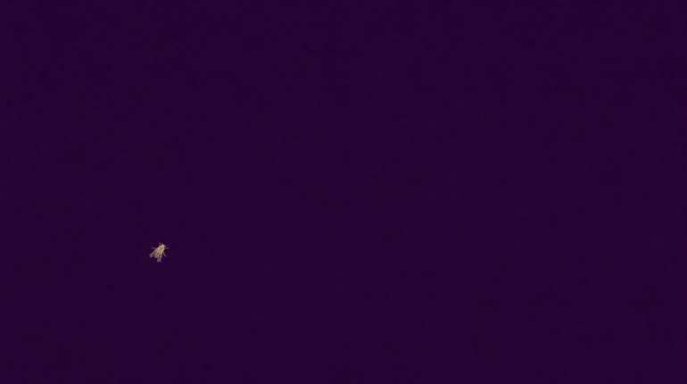 A lone insect silhouette in deep twilight purple, symbolising the missing friction behind AI sycophancy